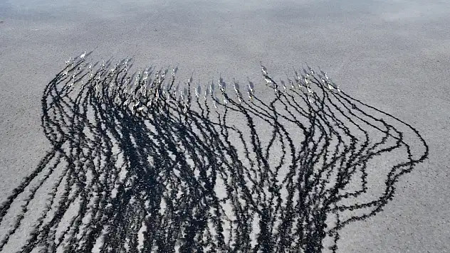 Kayseri'de binlerce göçmen kuş adeta karakalem tablosu oluşturdu