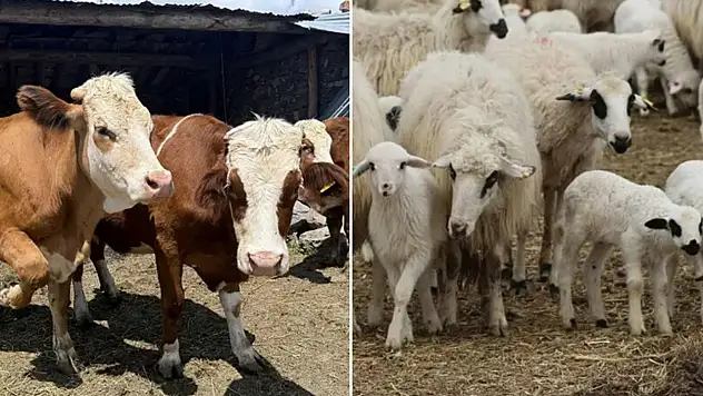 Kayseri'de binlerce üreticiyi ilgilendiren başvuru başladı