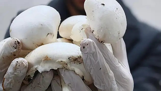 Kayseri'de bir ilk: Sarız'da hayata geçti