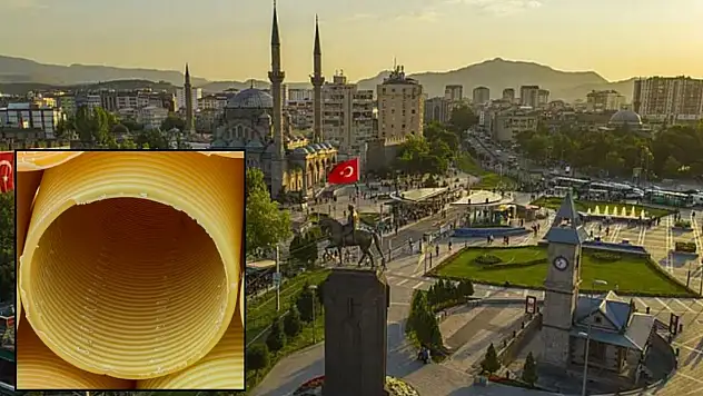 Kayseri'de boynunda plastik boruyla bulundu