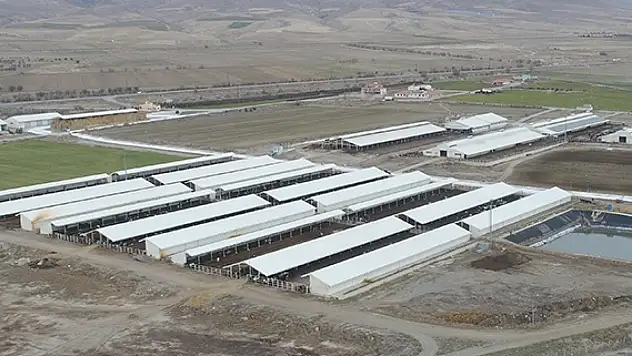 Kayseri'de bulunan o şirketle ilgili ortaya atılan iddia kafaları karıştırdı: Vurgun daha ne kadar devam edecekti?