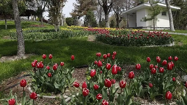 Kayseri'de caddeler çiçek açtı