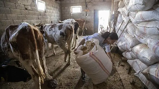 Kayseri'de çiftçiye müjde! Fiyatlar aşağı çekildi