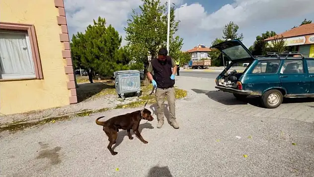 Kayseri'de dedektör köpekli tatbikat