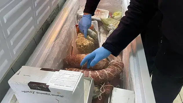 Kayseri'de denetim yağmuru! Tek tek incelediler