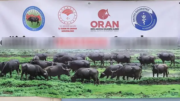 Kayseri'de dikkat çeken afiş! Gören bir daha baktı!