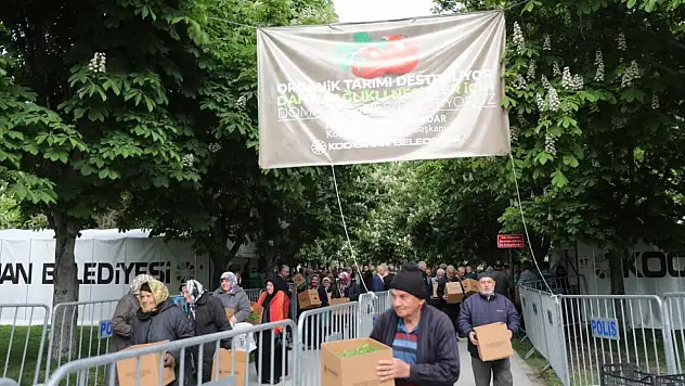 Kayseri'de domates fidesi dağıtıldı!