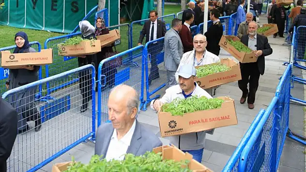 Kayseri'de domates fidesinin dağıtılacağı gün belli oldu!