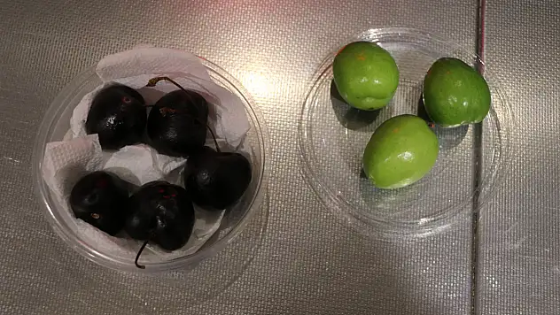 Kayseri'de fiyatlar uçtu! Yaz meyveleri cep yaktı