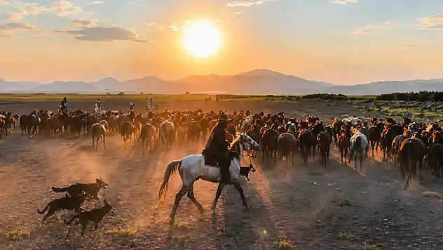 Kayseri'de gün batımına Yılkı atları damga vurdu!