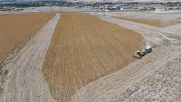 Kayseri'de hasat başladı: Açık ara birinciyiz