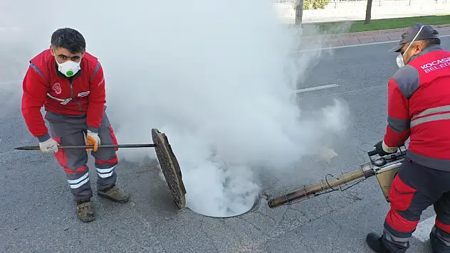 Kayseri'de haşere ile mücadele aralıksız sürüyor!
