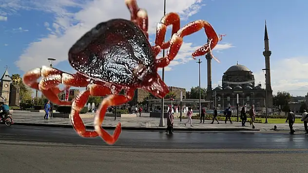 Kayseri'de kene gerçeği! Meğer Kayseri insidensi yüksek ilmiş ve bu yüzden ödenek gönderilmiş