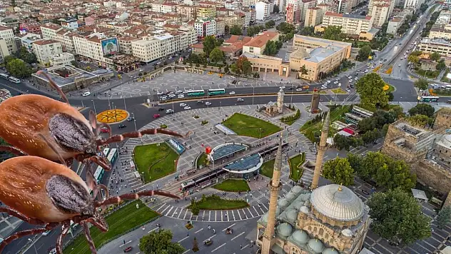 Kayseri'de 'kene' ile mücadele başladı! Milyonluk sözleşme imzalandı