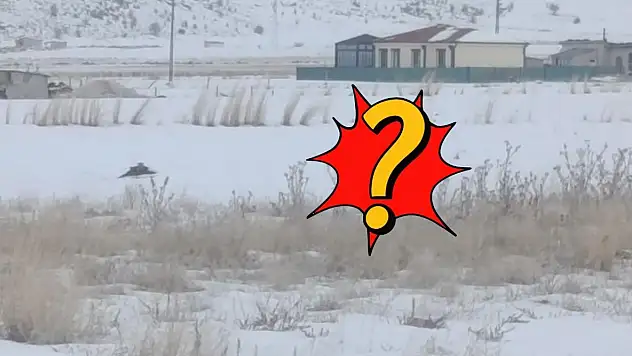 Kayseri'de köpeği parçalamıştı! Bir ilçede daha görüldü