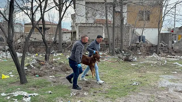 Kayseri'de köpeğin saldırdığı çocuk 12 gündür tedavi altında! Babası ilk kez konuştu