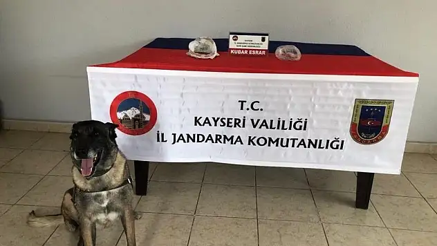 Jandarmadan uyuşturucu operasyonu 