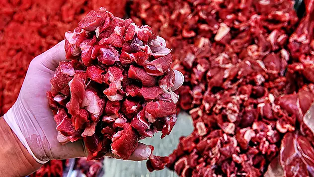 Kayseri'de kurban kesenler dikkat! Sağlık Bakanlığı uyardı