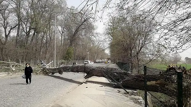 Kayseri'de kuvvetli rüzgâr ve fırtına alarmı