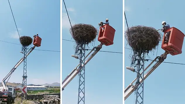 Kayseri'de leylek alarmı!