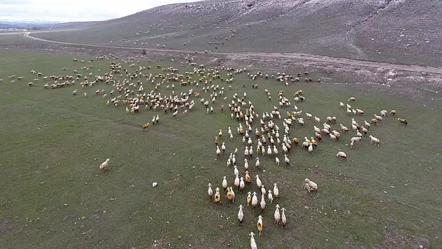 Kayseri'de mera ve orman vasfından çıkarılan alanların büyüklüğü ne kadar?