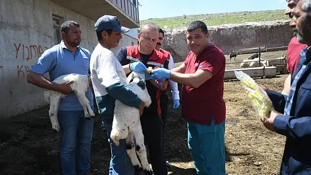 Kayseri'de Müdür ve Oda Başkanından dikkat çeken buluşma! Ne olduysa o sözleşmeden sonra oldu