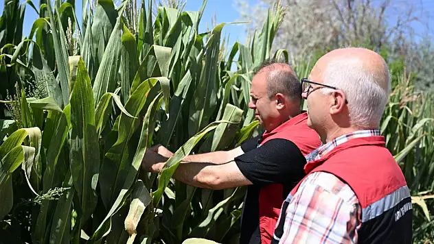 Kayseri'de müdürün hafta sonu mesaisi! Tek tek inceledi