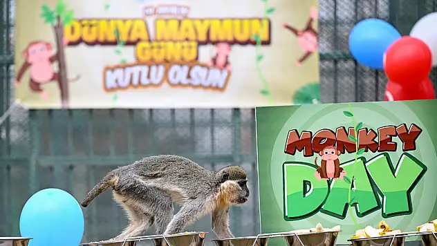 Kayseri'de muzlu kutlama