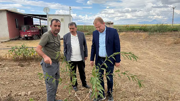 Kayseri'de ne yetişecek? Yeni ürün için çalışma başladı