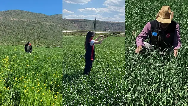 Kayseri'de o alanları didik didik ettiler! Bakın ne aradılar?
