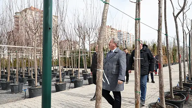 Kayseri'de o Başkan 'Çınarların Başkanı' olmak istiyor
