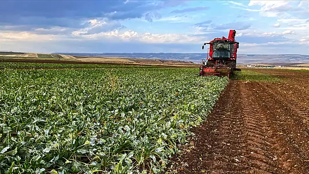 Kayseri'de o bölgede yaşayanlar ve destek almak isteyenler dikkat! Belediye tarih verdi