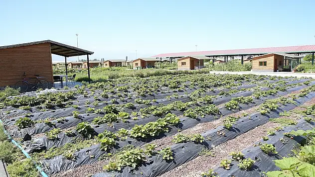 Kayseri'de o bölgedeki hobi bahçeleri için yeni gelişme! 2026 ücretleri de belli oldu!