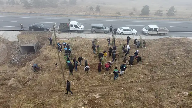 Kayseri'de o bölgenin rengi değişiyor! Bin 200 tane ekildi