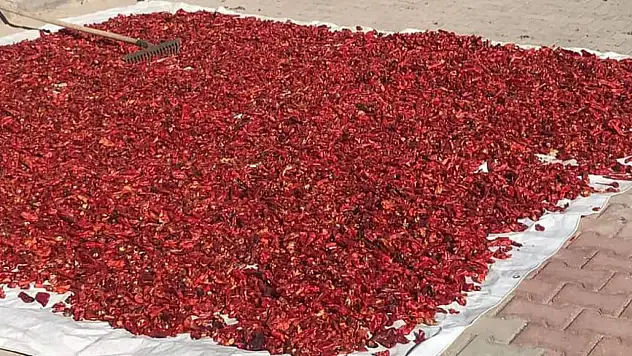 Kayseri'de o mahallede 10 ton üretiliyor! 'Köylü malı, sahip çıkalım' çağrısı