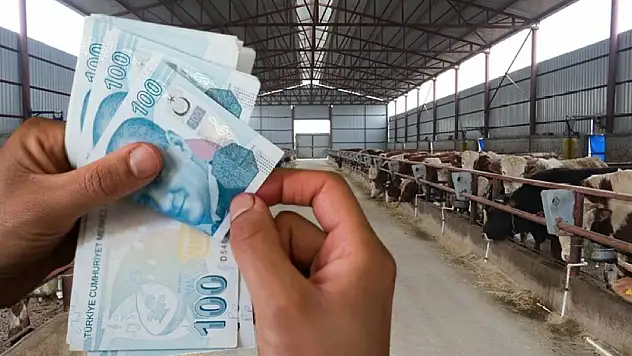 Kayseri'de oldu... 21 milyonluk projeye yüzde 50 hibe aldı!