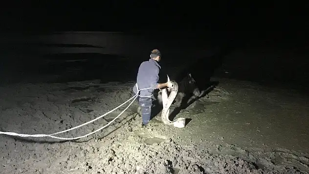 Kayseri'de oldu! Bataklığa saplandı