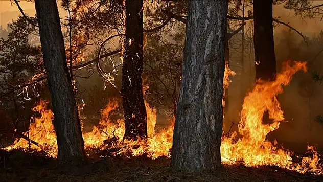 Kayseri'de orman yangını seferberliği başladı
