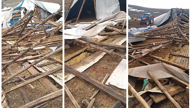 Kayseri'de ortaya çıkan bu duruma el attılar