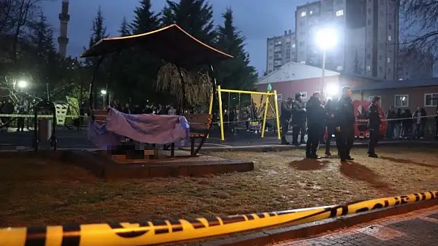 Kayseri'de parkta işlenen cinayetle ilgili yeni gelişme!