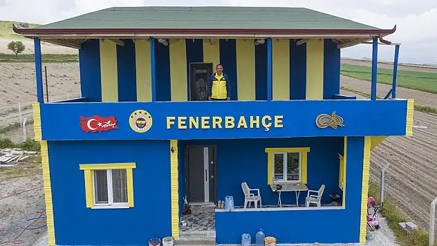 Kayseri'de sarı-lacivert ev dikkat çekti!