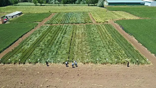 Kayseri'de son 18 yılda Bünyan ilçesi kadar tarım alanı yok oldu!