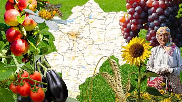 Kayseri'de tarım yapacaklara müjde! En verimli 5 bölge belli oldu