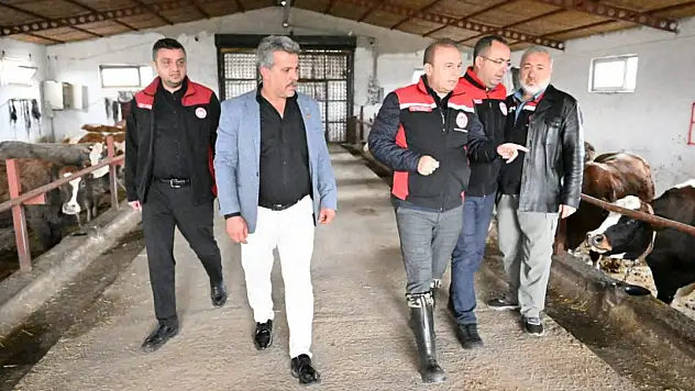 Kayseri'de tarlada hasat, ahırda inceleme!