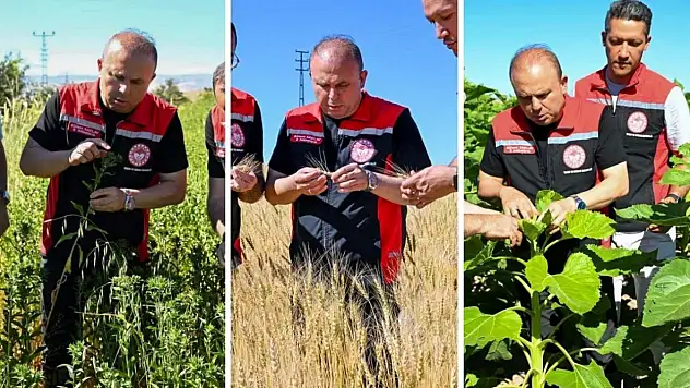Kayseri'de tarlalar mercek altında! İl Müdürü sahaya indi