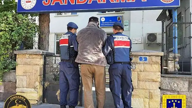 Terör operasyonu: 1 gözaltı