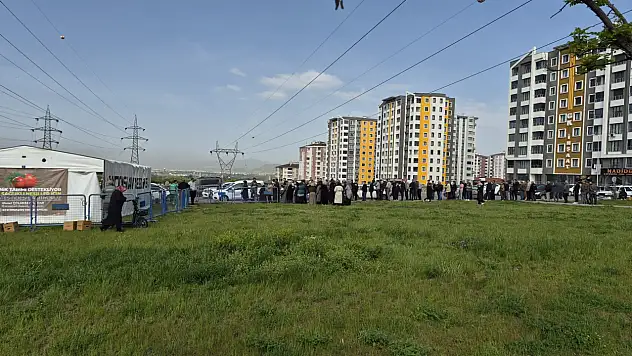 Kayseri'de ücretsiz domates fidesi dağıtıldı! Sabah saatlerinde uzun kuyruk oluştu
