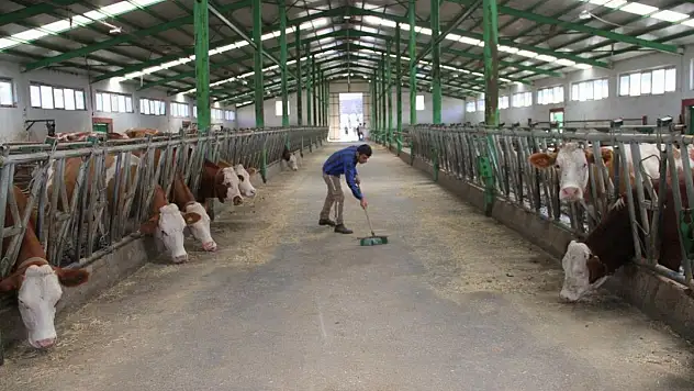 Kayseri'de üreticilere kritik çağrı! Son tarih belli oldu