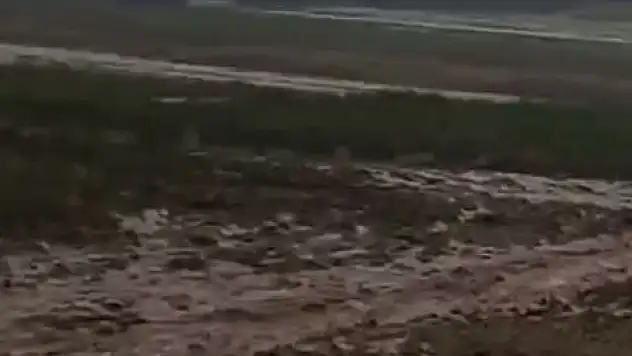 Kayseri'de yağmurun faturası ağır oldu! Üreticiler yardım bekliyor