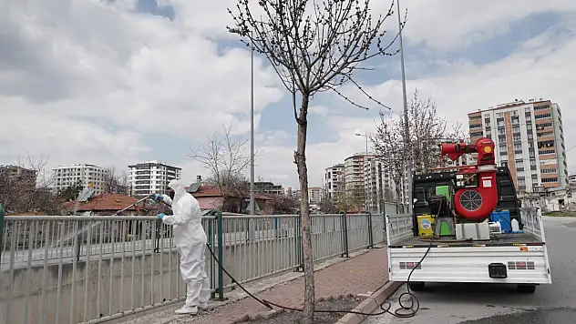Kayseri'de yaz hazırlıkları! İlaçlama başladı